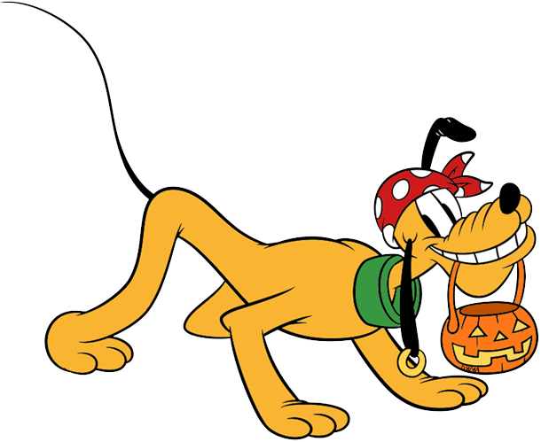 Pluto disfrazado de pirata con su calabaza